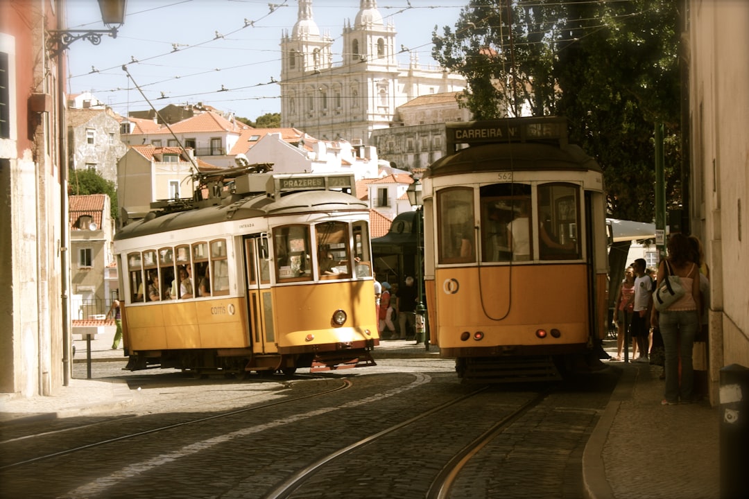 two yellow-and-white trams, Trolley cars in a sunny city