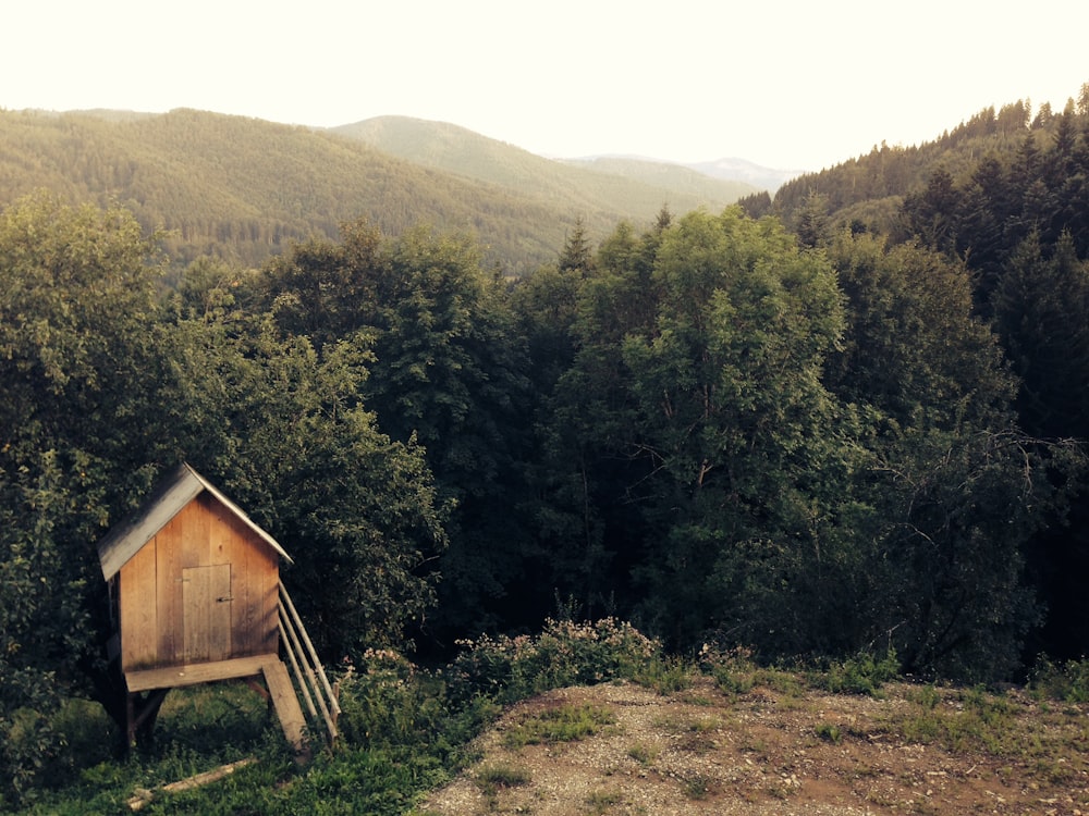 brown wooden shed near trees at daytime