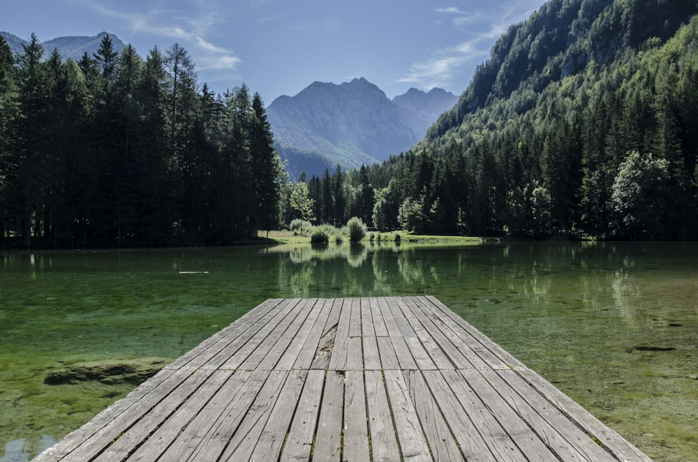 fotografia di fiume