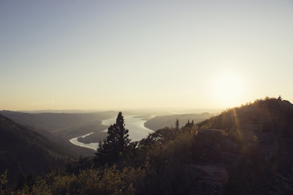 photo of green trees, grass, and lake at sunrise