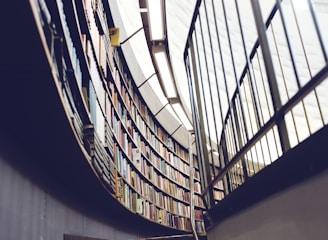 architectural interior photo of library with books and shelf