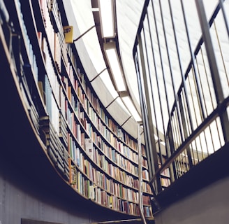 architectural interior photo of library with books and shelf