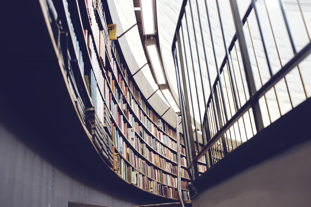 architectural interior photo of library with books and shelf