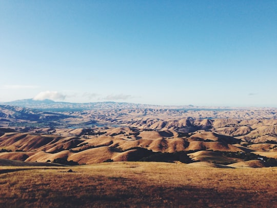 panoramic photo of sand dunes in Mission Peak Regional Preserve United States