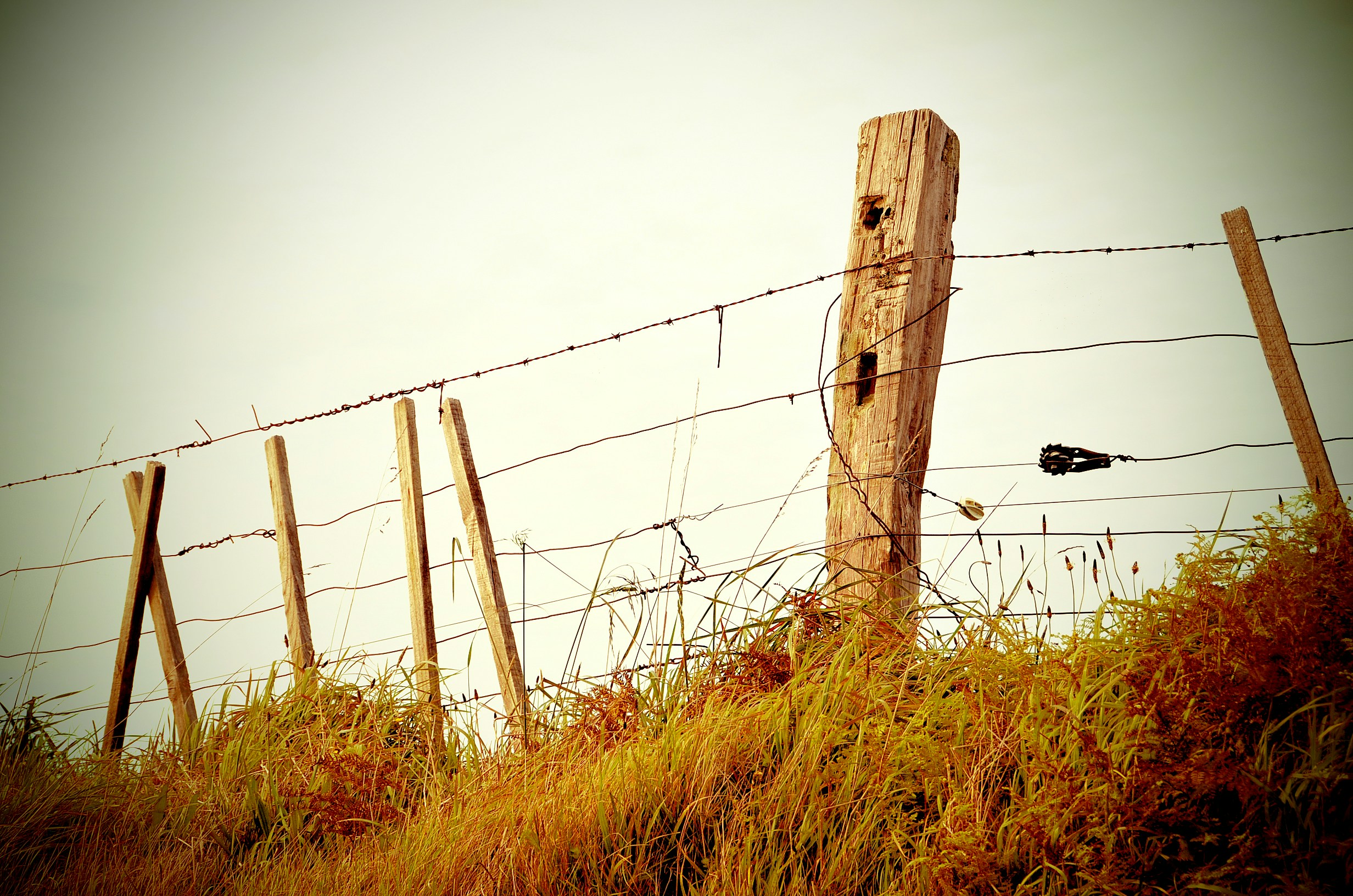 Fence-Filtered.jpg?ixid=M3wxMjA3fDB8MXxzZWFyY2h8MTl8fGhpZ2hzdGFrZXxlbnwwfHx8fDE3NTQ2Mzg3NzZ8MA\u0026ixlib=rb-4.1.0