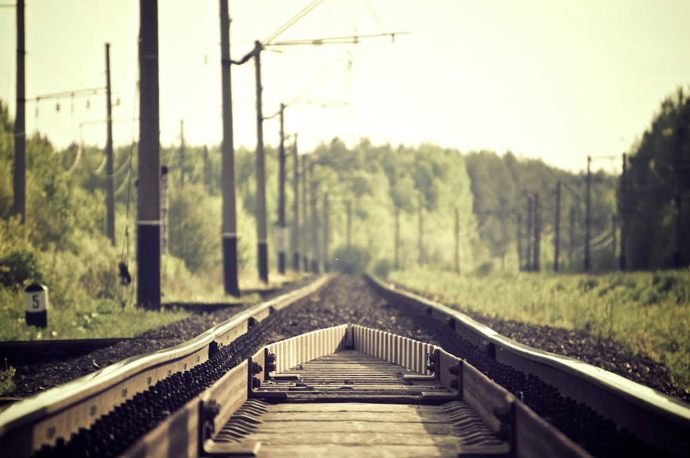 Braune und schwarze Bahnschienen zwischen Bäumen und Gras bei Tag