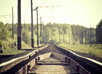 brown and black train rails in between trees and grass at daytime