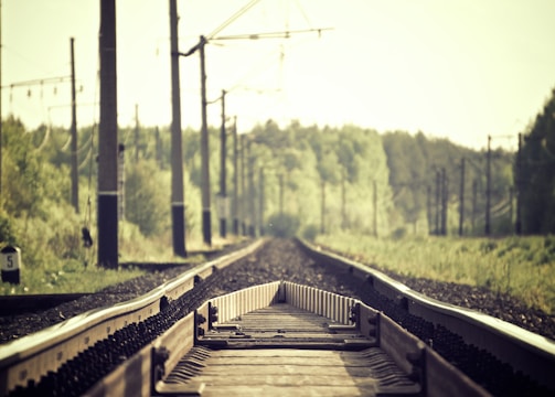 brown and black train rails in between trees and grass at daytime