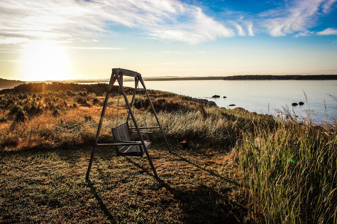 gray wooden bench swing facing body of water surrounded by grass