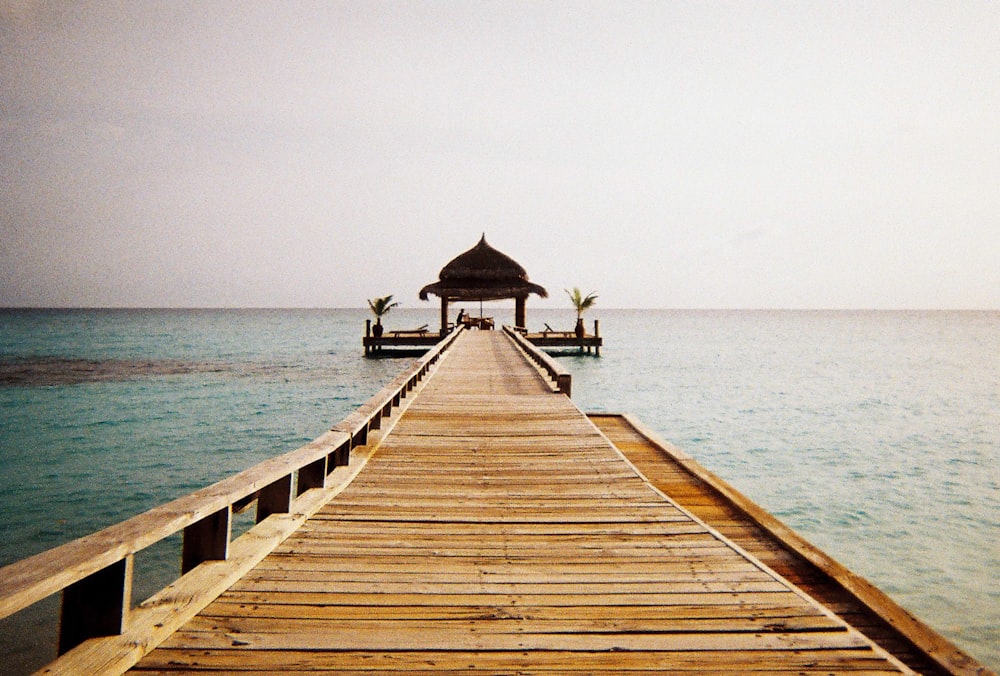 brown wooden walkway on body of water