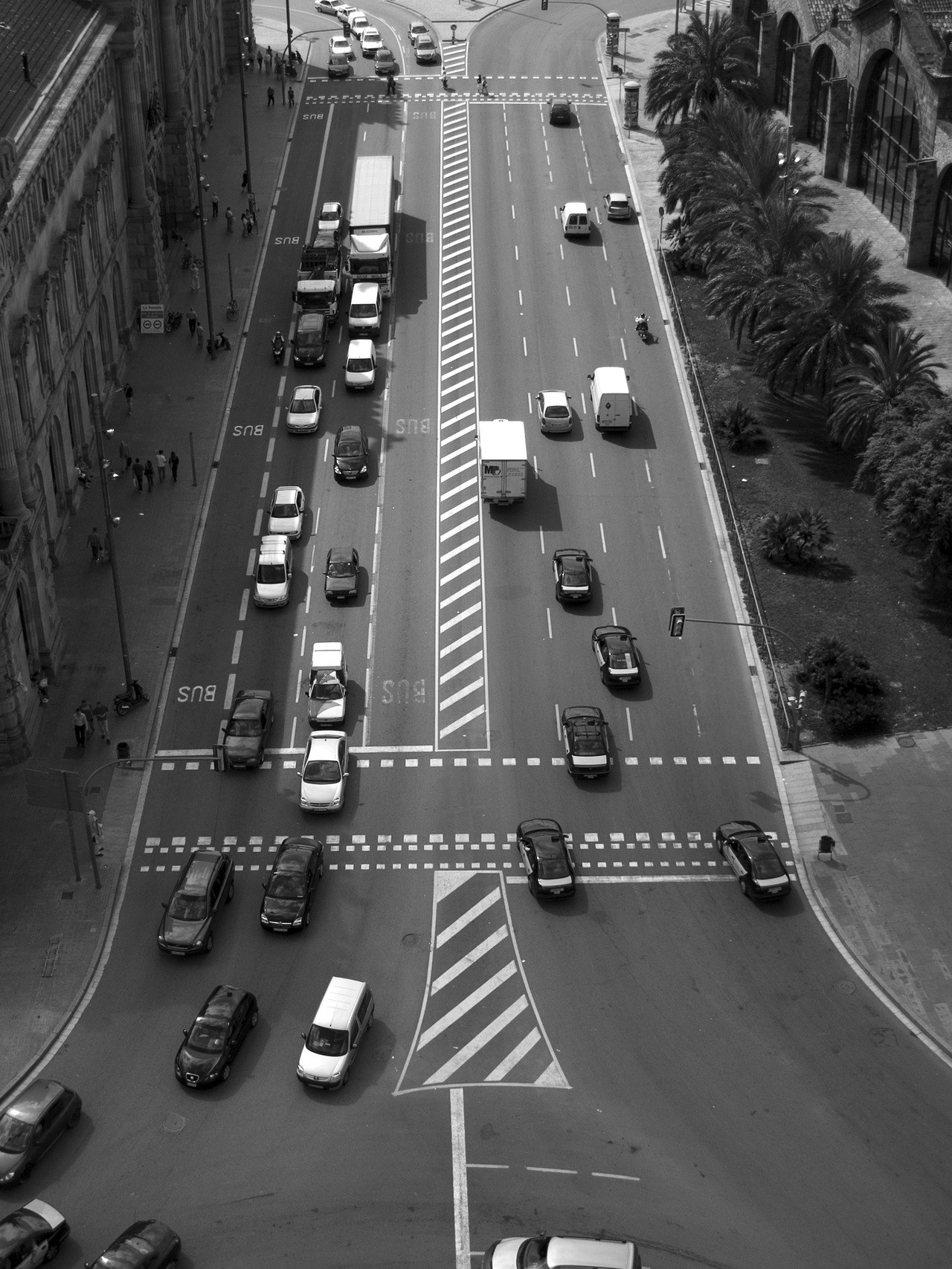 Why You Should Walk In The Bus Lane