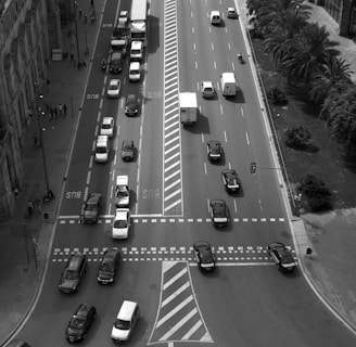 birds eye view of vehicles on road between buildings