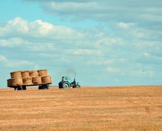 brown hay on tractor under white and blue sky during daytime