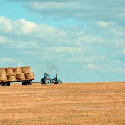 brown hay on tractor under white and blue sky during daytime