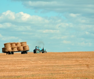 brown hay on tractor under white and blue sky during daytime