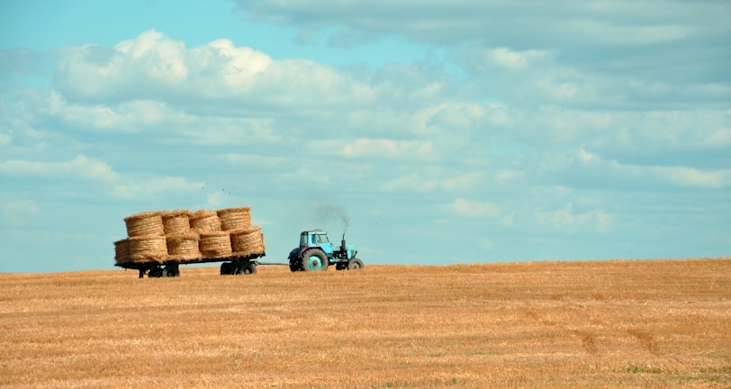 brown hay on tractor under white and blue sky during daytime