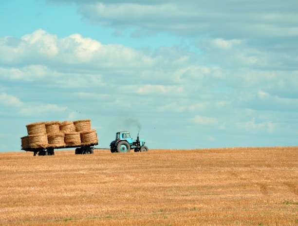 brown hay on tractor under white and blue sky during daytime
