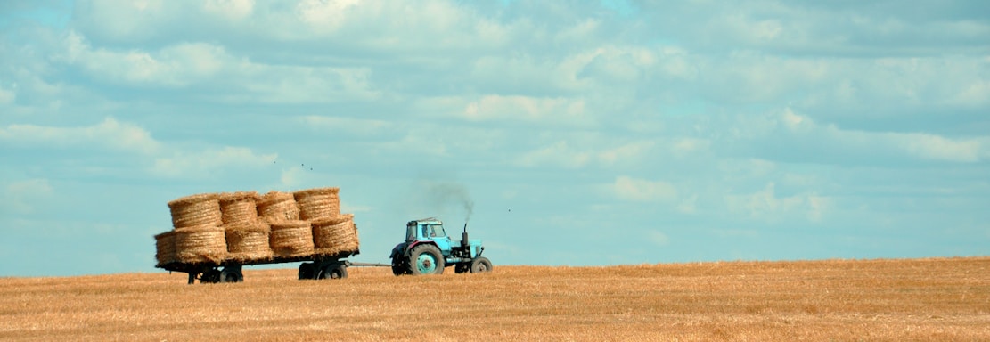 brown hay on tractor under white and blue sky during daytime