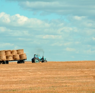 brown hay on tractor under white and blue sky during daytime
