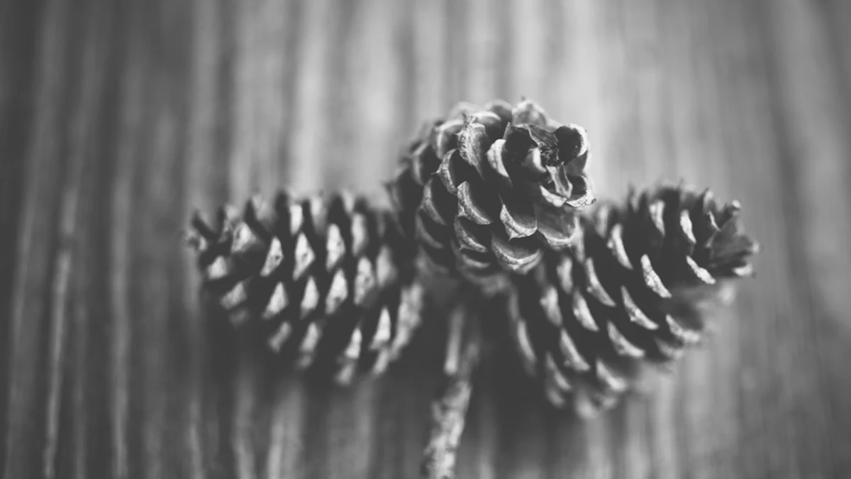 Pinecone vs. Weaviate: The Battle of Vector Search Databases