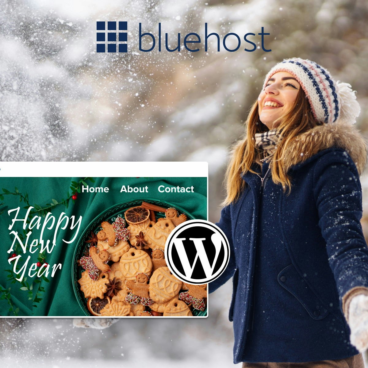 Les avantages et inconvénients du service d'hébergement dans WordPress en 2024