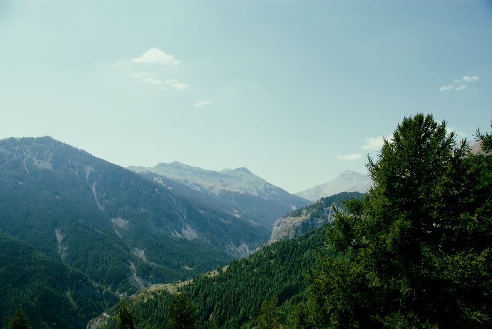 Grüne Bäume auf dem Berg unter weißen Wolken während des Tages