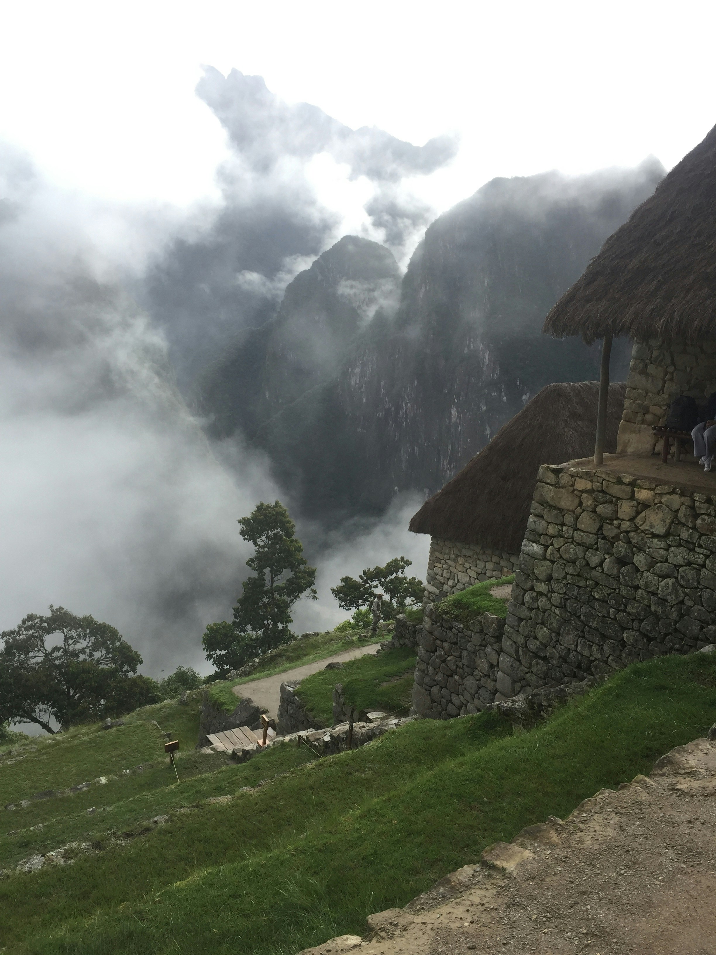 昼間は山の近くの緑の芝生の野原にある茶色の木造家屋