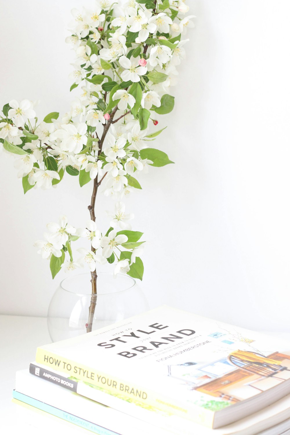 green plant on clear glass vase