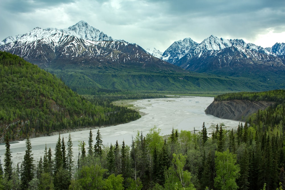 arbres verts près du lac et de la montagne enneigée pendant la journée