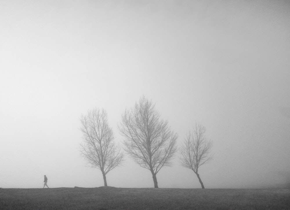 bare tree on gray field