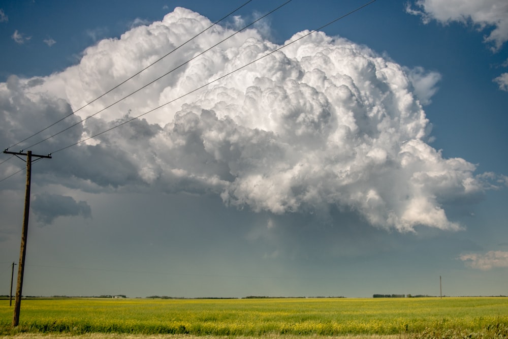 field under white clouds