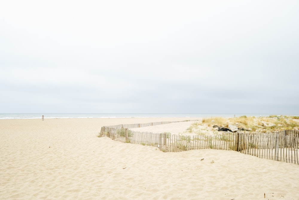 empty shore during daytime