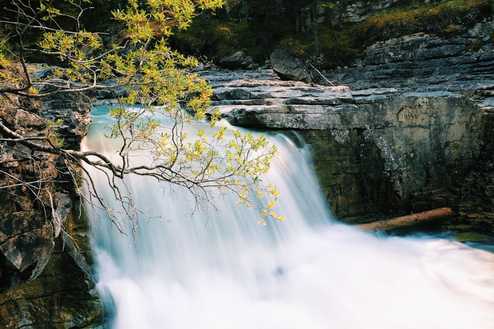 rocky waterfalls near trees during day