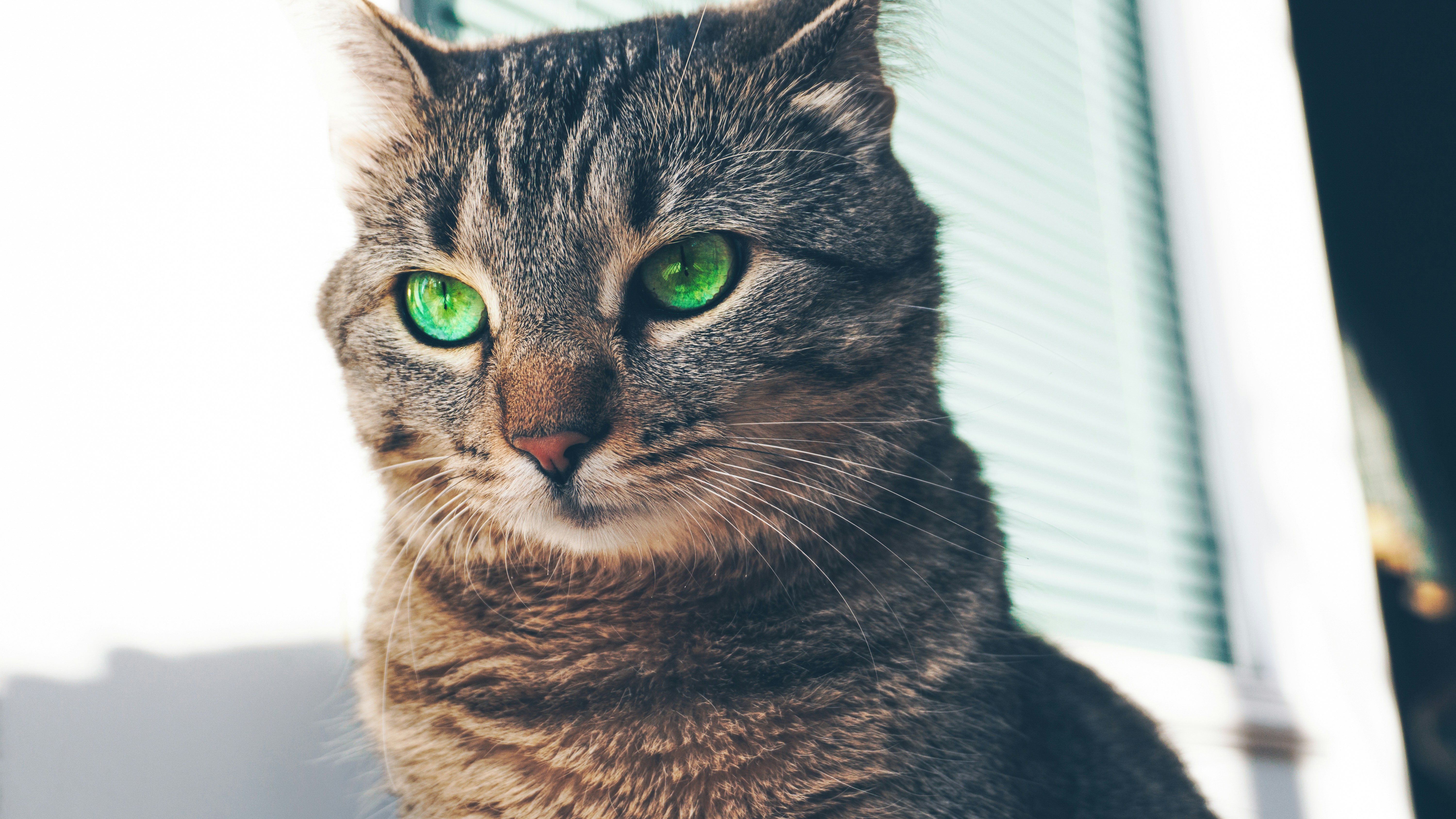 Photo by martinsanchez