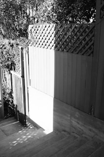 A staircase descending between wooden fences, with lattice panels on top, partially enveloped by shadows and sunlight. Overgrown foliage and plants can be seen around the fences.