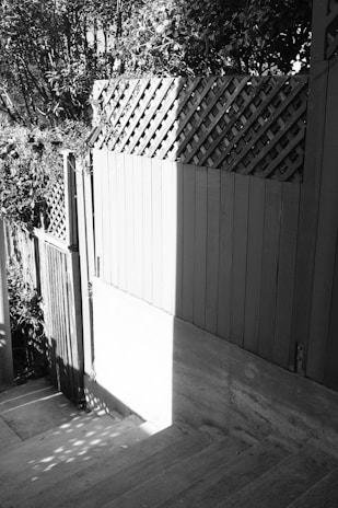 A staircase descending between wooden fences, with lattice panels on top, partially enveloped by shadows and sunlight. Overgrown foliage and plants can be seen around the fences.