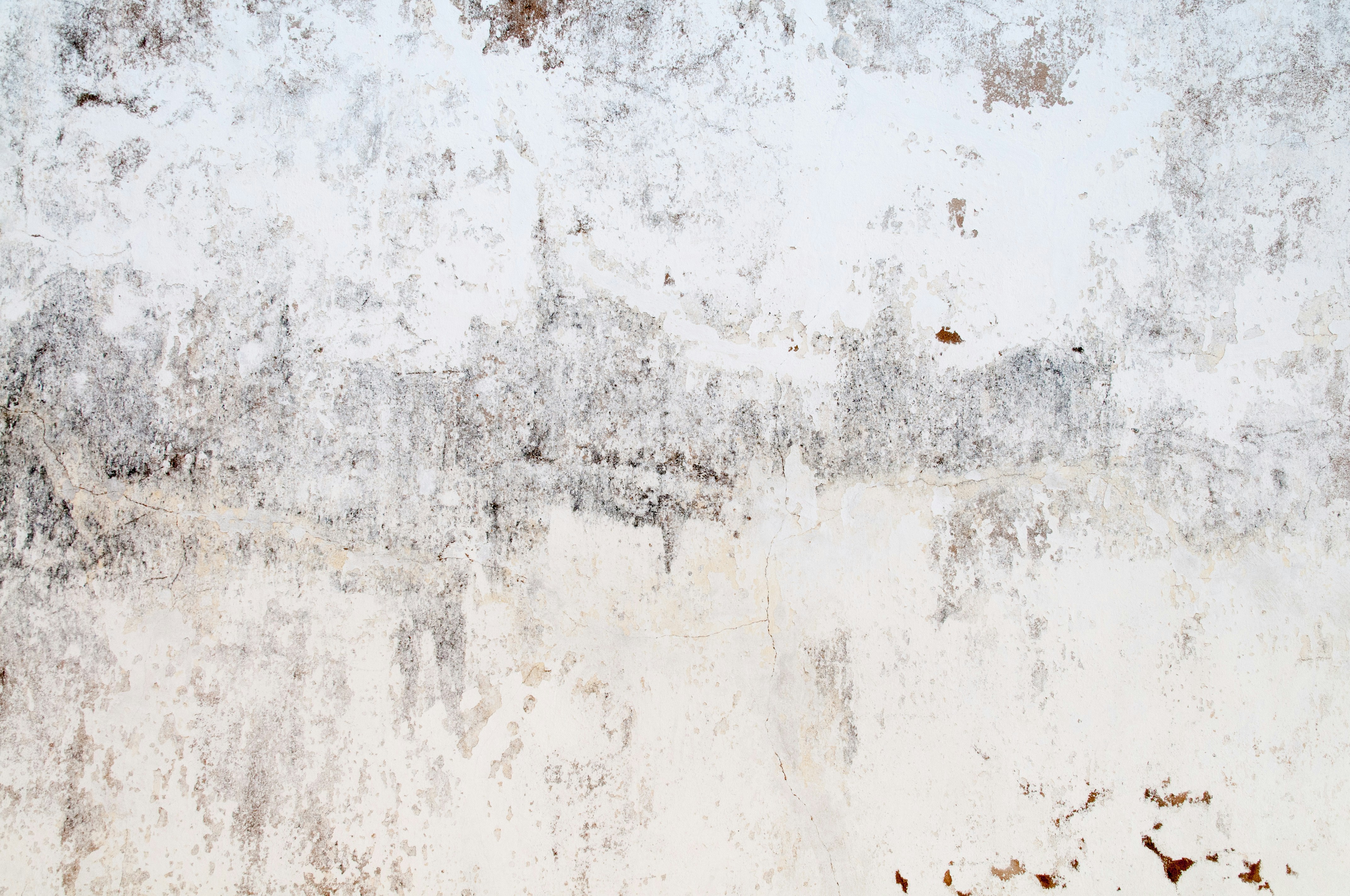 Photo by patternpictures