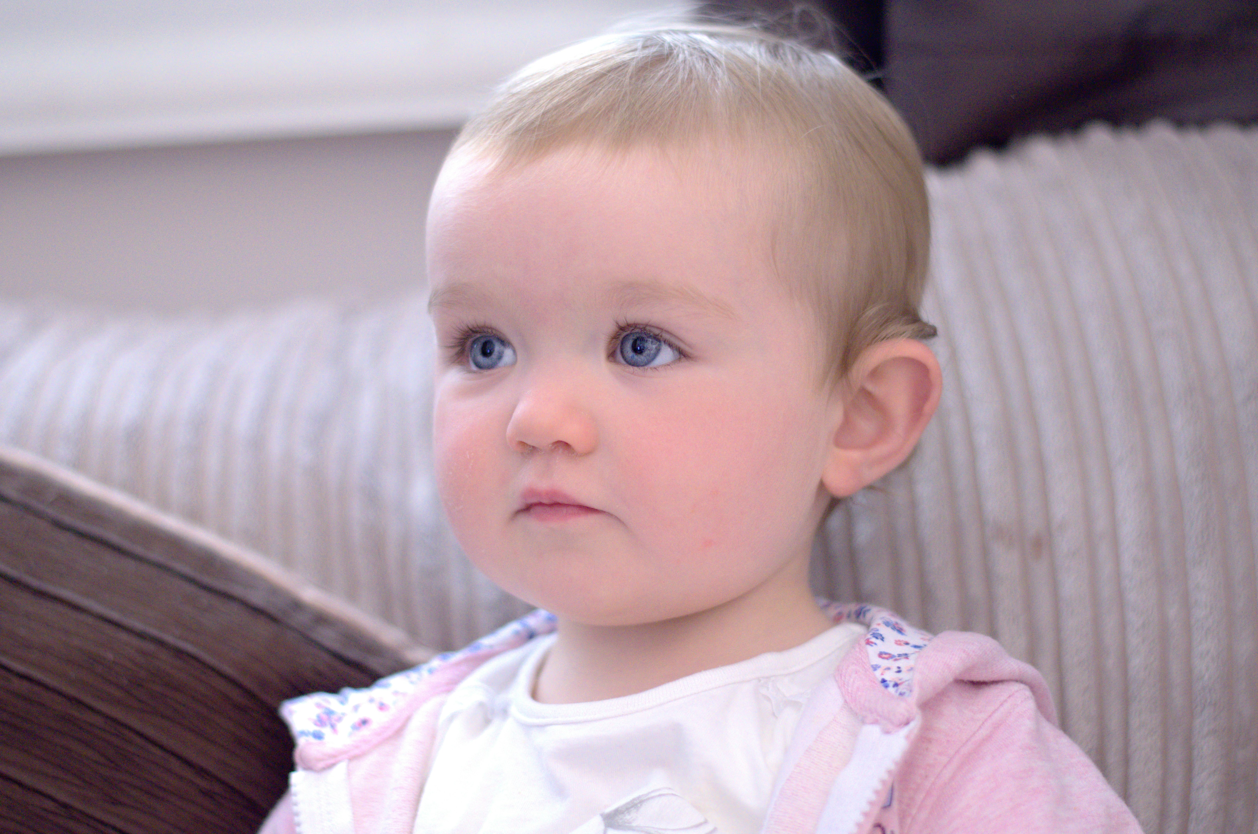 Ratoath 1 best free ratoath, house, accessory and apparel photos on