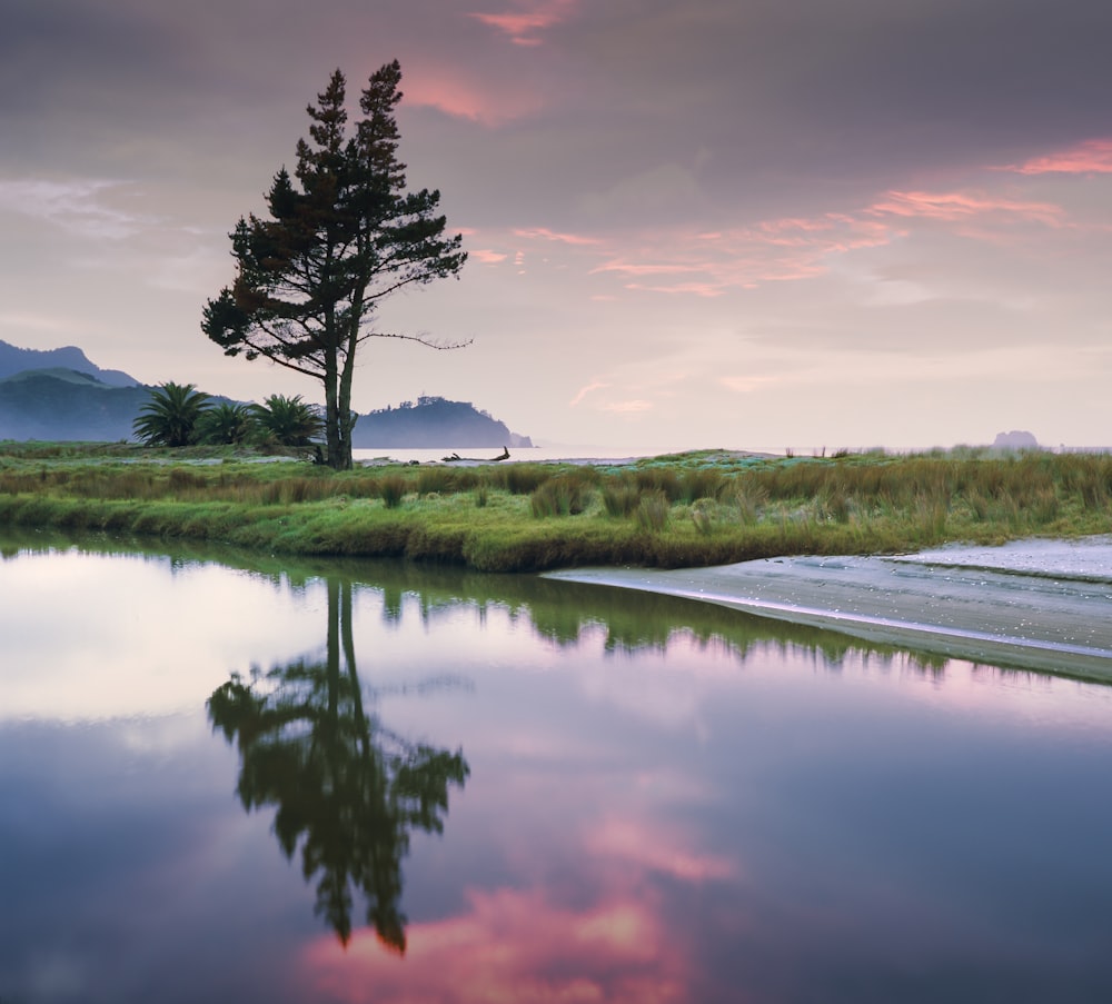 calm body of water