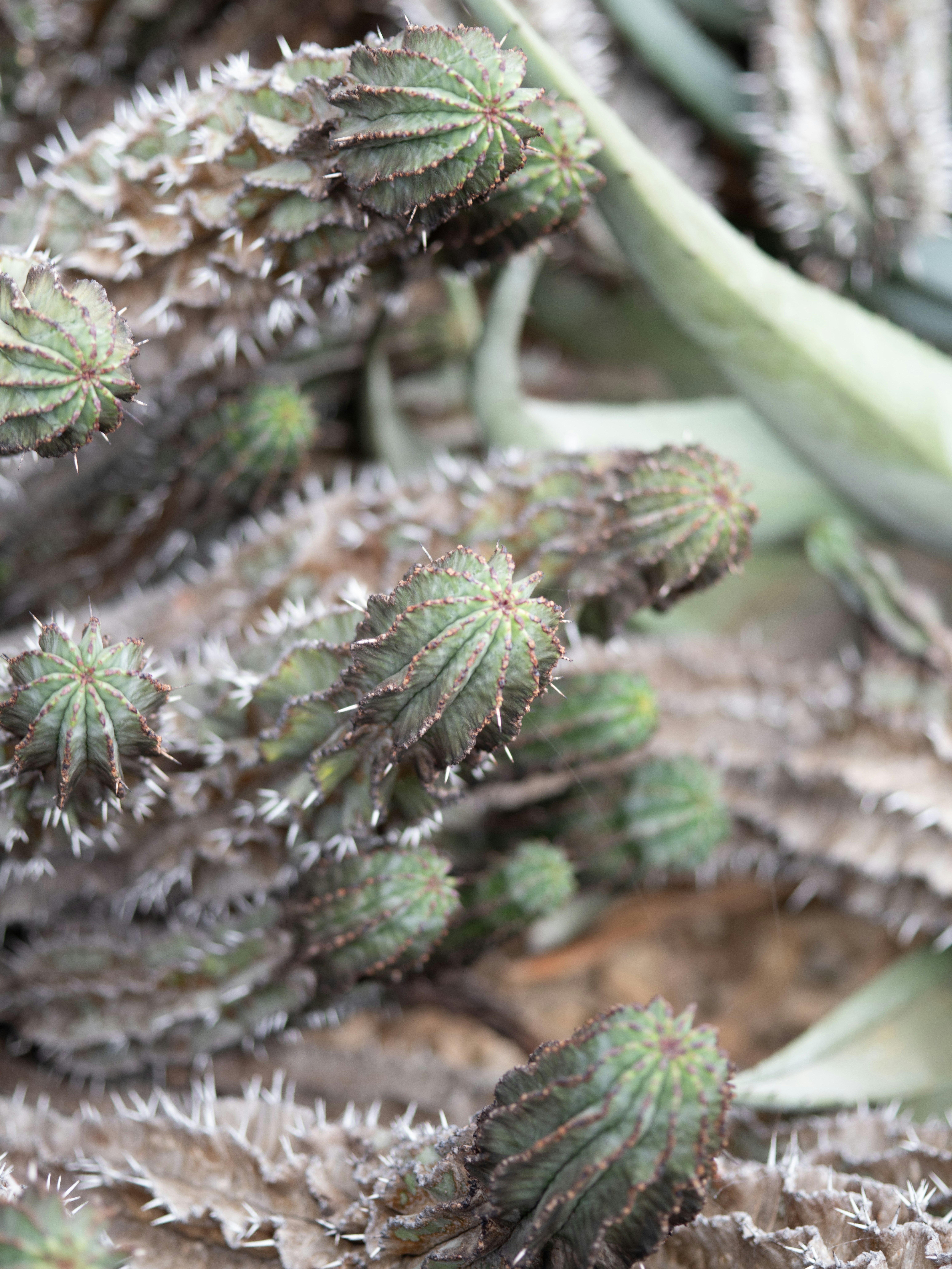 Photo by anniespratt