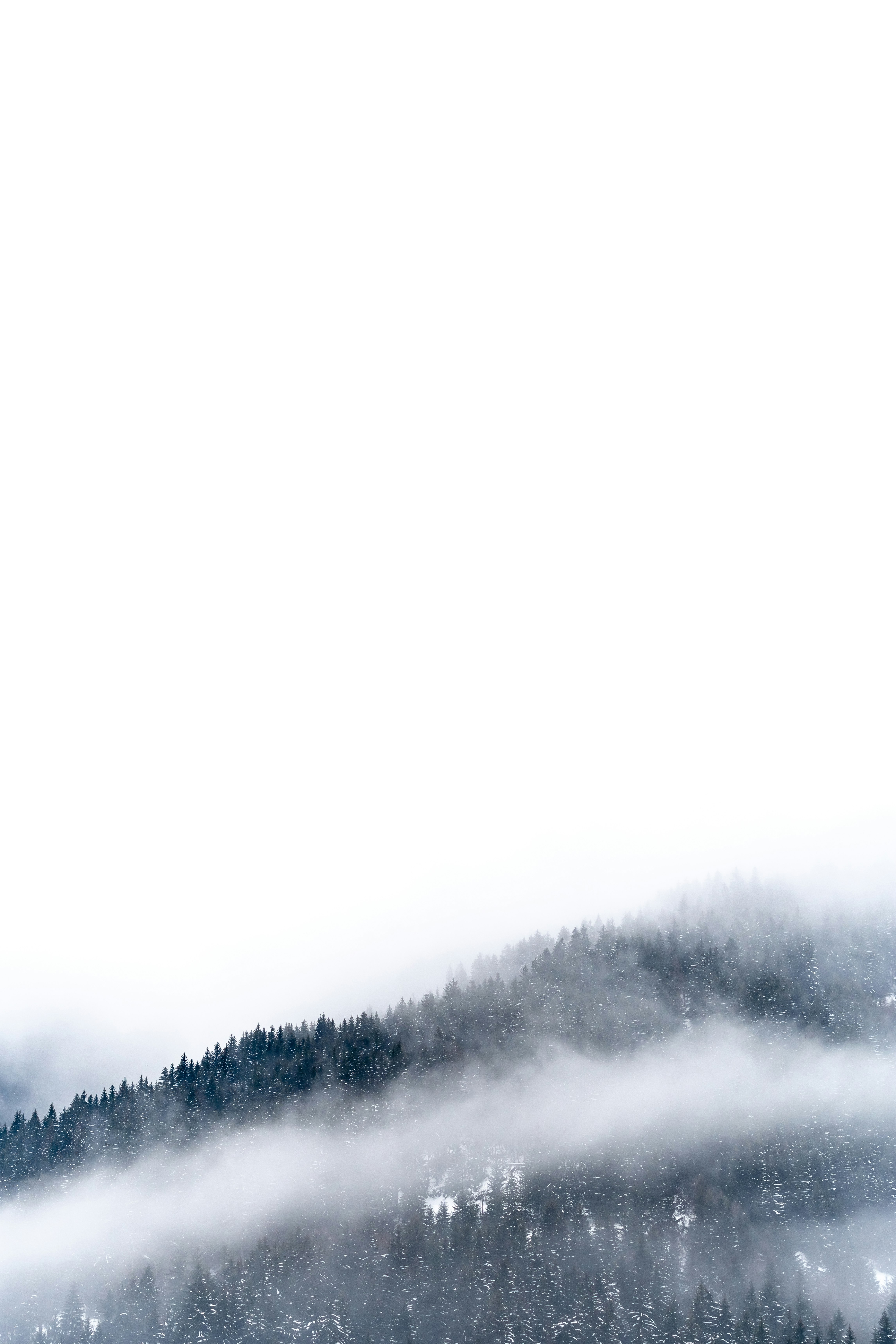 fog mountain wallpaper