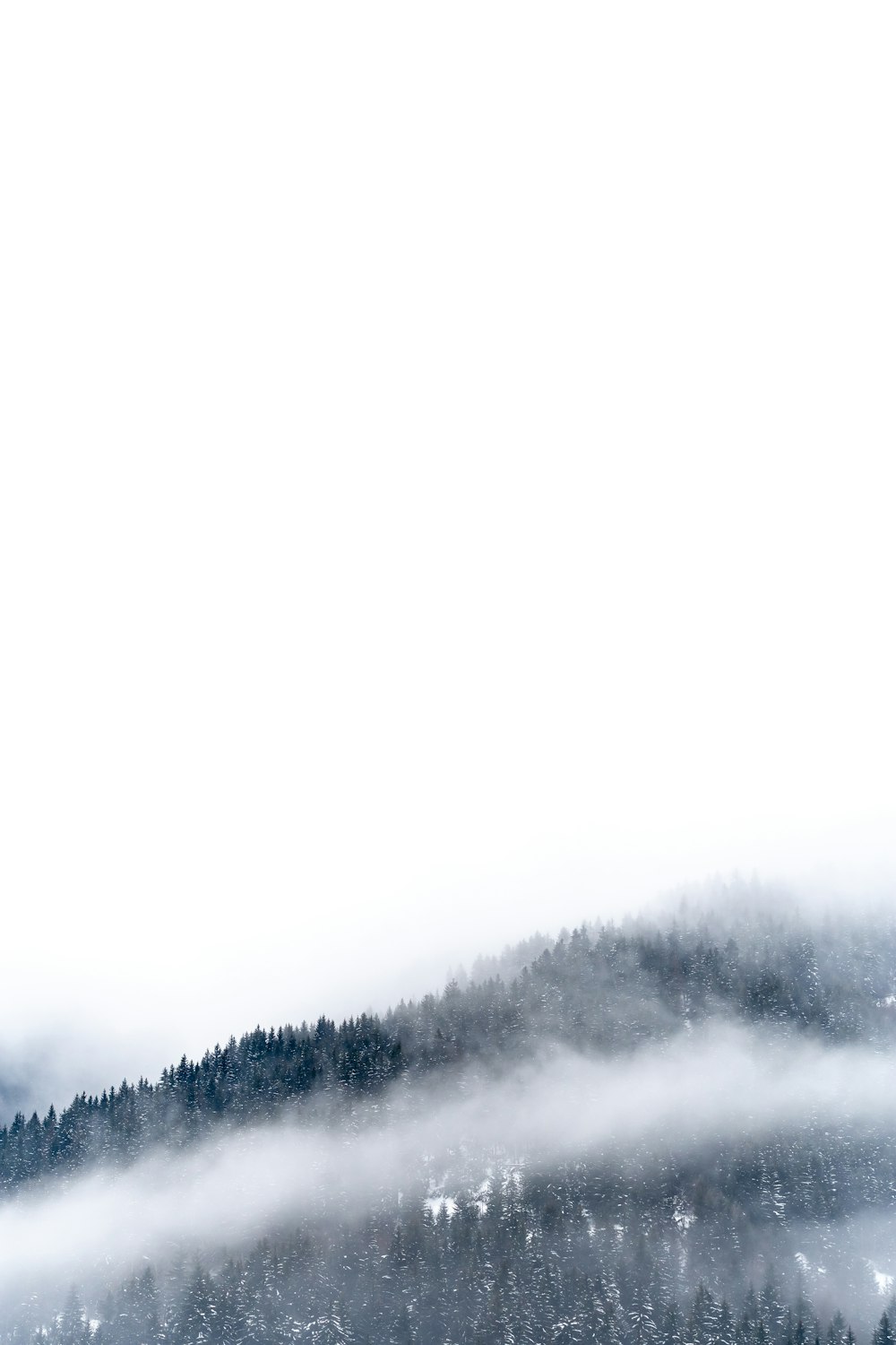 fog mountain wallpaper