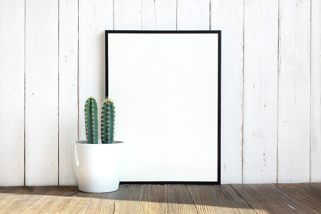 green cactus plant,