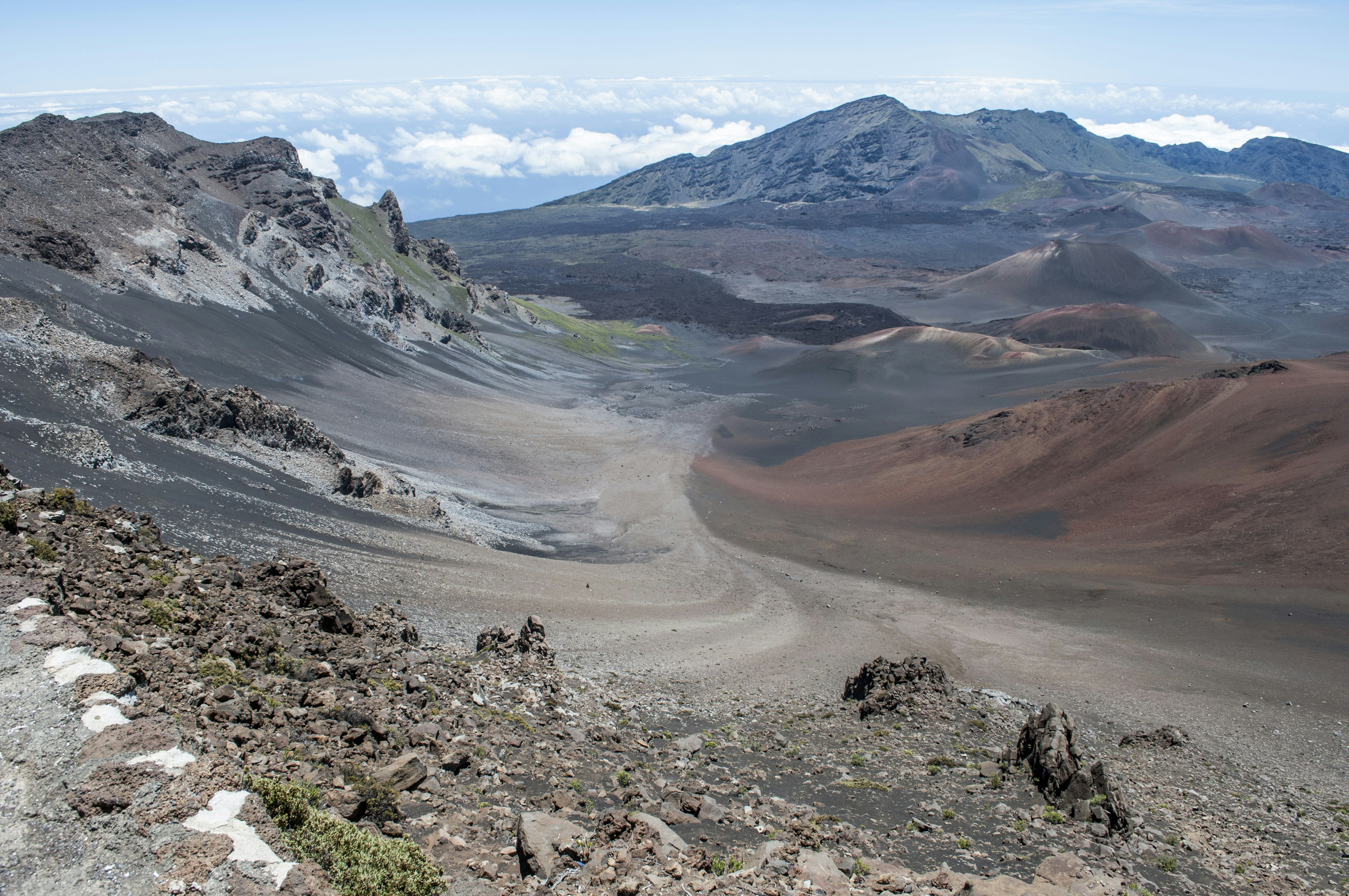 Photo by rongeurcloclo