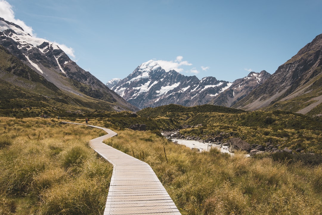 brown wooden pathway surrounded by brown field towards mountain, This picture is made in New Zealand at the Hooker Valle
