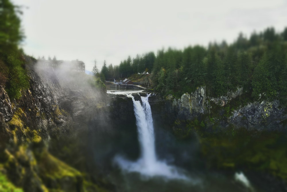 waterfalls surrounded by green leafed trees