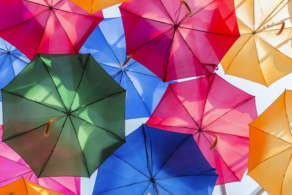 cores variadas de guarda-chuvas abertos