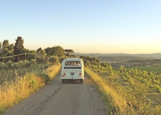 white van traveling on rough road in between green grass during sunset