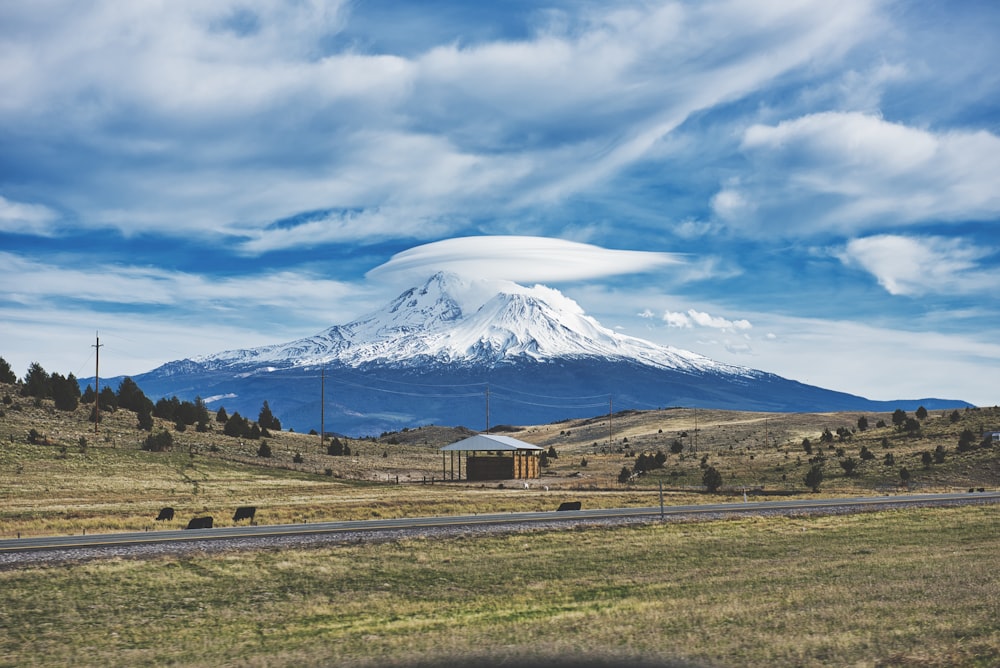 Montaña y árboles