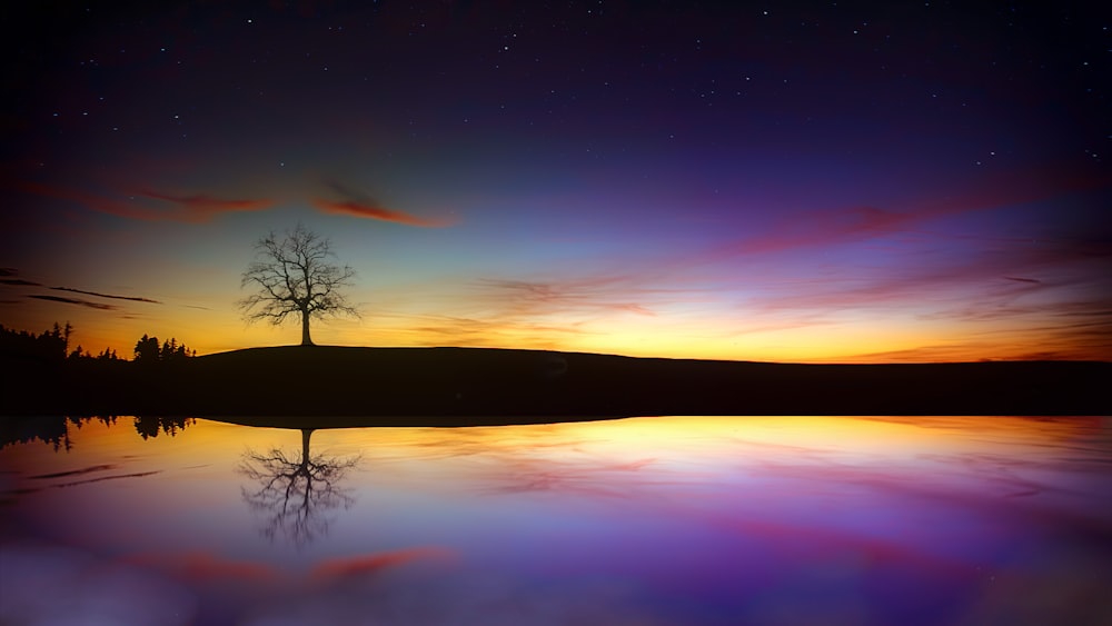 body of water during golden hour